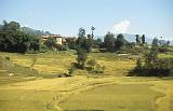 36_Dorp met rijstvelden, Kathmanduvallei